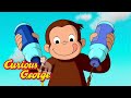 George's Desert Masterpiece 🐵 Curious George 🐵 Kids Cartoon 🐵 Kids Movies