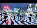 Tokyo Japan: 4 Hours of Heavy Rain, Night Walk • 4K HDR