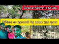निधिवन का रहस्यमयी पेड़ 5000 साल पुराना |🤯 Vrindavan Nidhivan ka full video