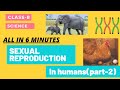Sexual Reproduction(part-2): sex determination, oviparous and viviparous animals, metamorphosis.