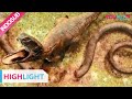 Highlight (Jurassic Revival) Ular raksasa dimakan oleh dinosaurus raksasa! | YOUKU