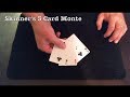 Michael Skinner's 3 Card Monte performance