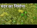 मटर का निमोना बनाने की आसान विधि | Matar ka Nimona Recipe | Grean Peas Nimona | Green Peas Curry