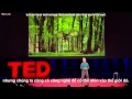TED Vietsub Louie Schwartzberg  Những kỳ quan ẩn mình trong thế giới tự nhiên