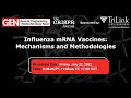 Influenza mRNA Vaccines: Mechanisms and Methodologies