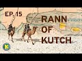 Rann of Kutch - how was it formed? and why is it so white? // Ep 15