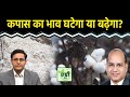 Commodity Market : फसल वर्ष 2025-26 में Cotton Production को लेकर CAI का क्या है अनुमान? Agri