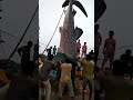 Incredible fish on Sassoon dock