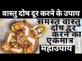 vastu dosh dur karne ke upay | One Simple Remedy For All Vaastu Dosh| | Vastu Tips For Home|