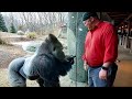 The Funniest Animals On The Internet 😂 NEW Funny Animal Videos 2026!