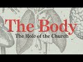 The Body Part 1| The Big Picture 