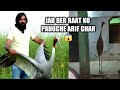 खुशी से नाचने लगा सारस जब रात को आरिफ पहुंचे अपने घर❤️| Arif Or Saras Ki Dosti Heart Touching Video