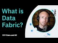 What is Data Fabric?