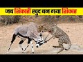 10 Moments When Predators Failed | जब शिकारी पर भारी पड़ा शिकार