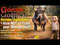 Gorom Goenkar: Bumper Agitations \u0026 How not to train your Dhiriam Boil Eps: 106