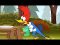 ¡Woody y el ladrón de hamburguesas!| El Pájaro Loco | Dibujos Animados en Español