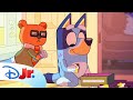 FULL BLUEY MINISODE | Browny Bear | @disneyjr