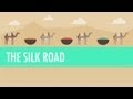The Silk Road and Ancient Trade: Crash Course World History #9
