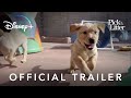 Pick of the Litter | Official Trailer | Disney+