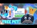 FREE Old King Coal Pet Christmas Admin Abuse! | Roblox Adopt Me Event | Riivv3r