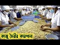 কাজুবাদাম তৈরীর কারখানা//Cashew nut factory