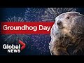 The origins of Groundhog Day