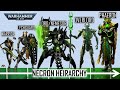 Necron Hierarchy \u0026 Power Structure - From Warrior to Phaeron- Explained (Warhammer 40K)