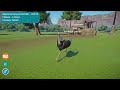 Bird Category Speed Races in Planet Zoo included Abyssinian Ground Hornbill, Chicken etc