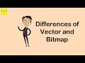 Differences of Vector and Bitmap