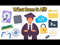 What Is an Operating System: Kernel, Shell \u0026 More | Computer Basics