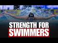 4 Essential Exercises Swimmers MUST Do in the Gym (Backed by Science)
