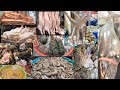 दिल्ली के इस मीट मार्केट में सब मिलता है।😱😱 delhi ina meat market || fish market ||