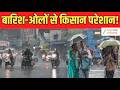 MP Weather Update : एमपी में मौसम का रिट्रीट, कई जिलों में बारिश-ओलावृष्टि से किसानों की बढ़ी मुसीबत