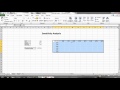 Sensitivity Analysis in Excel