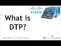 What is DTP protocol ? #ccna #ccnp #cisco