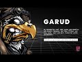 Garud: Bug Bounty Automation Tool | R0X4R