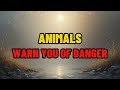 7 Animals God Uses to Warn His Chosen Ones | Spiritual Signs of Danger