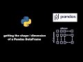 Get the shape / dimension of a pandas DataFrame