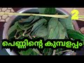 പെണ്ണിന്റെ കുമ്പളപ്പം കിടിലം രുചിയിൽ ഉണ്ടാക്കി കഴിക്കാം 2 #viral #viralvideos #viralshort #funny