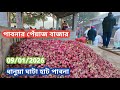 9 January 2026 আজকের পেঁয়াজের বাজার দর। Onion market price rate in pabna Bangladesh 
