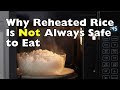 What Really Happens When You Reheat Rice [ID2206]