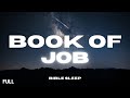 Full Book of Job for Sleep with Gentle Rain Sounds | Peaceful Bible Reading \u0026 Relaxation