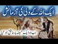 Aik Wali Ki Azmayesh Ka Qissa | Story Of Wali Islamic Stories Rohail Voice