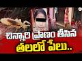 🔴LIVE : 12 ఏళ్ల బాలిక ప్రాణం తీసిన తలలో పేలు! | Head Lice Infestation | Odissa News