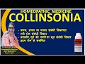 Popular medicine for piles and digestive problems | Collinsonia homeopathic medicine | Collinsoni...