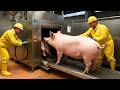 HOW PORK IS MADE 🐖 Inside a Modern Meat Factory  Full Industrial Process 🏭