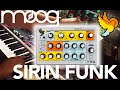 Moog Sirin Synth Funk Demo, performed by Dan \