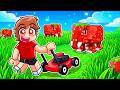 ROBLOX MOW GRASS FOR BRAINROTS...