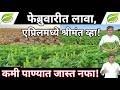फेब्रुवारी-मार्चमध्ये लावा ही ५ पिके, होईल लाखात नफा! | उन्हाळी पीक नियोजन | unhali pike in marathi