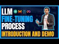 Introduction to LLM Finetuning | Python Coding with hands-on-example